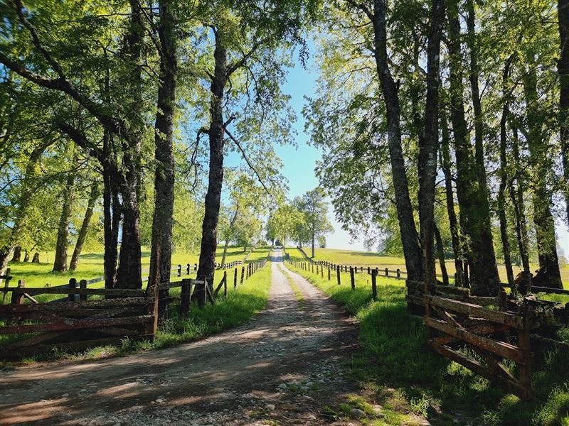 PROMOCIÓN VERANO 2026 DESDE 27,000,000 MILL