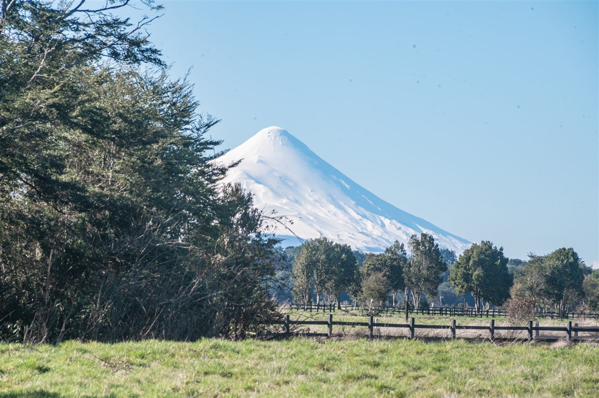 Venta Parcela 10.500 m con agua y luz, Puerto Varas