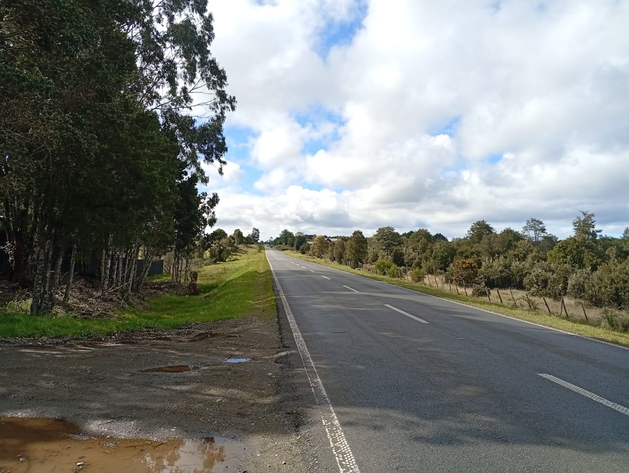 VENTA TERRENO - SITIO 5000MTS Maullín