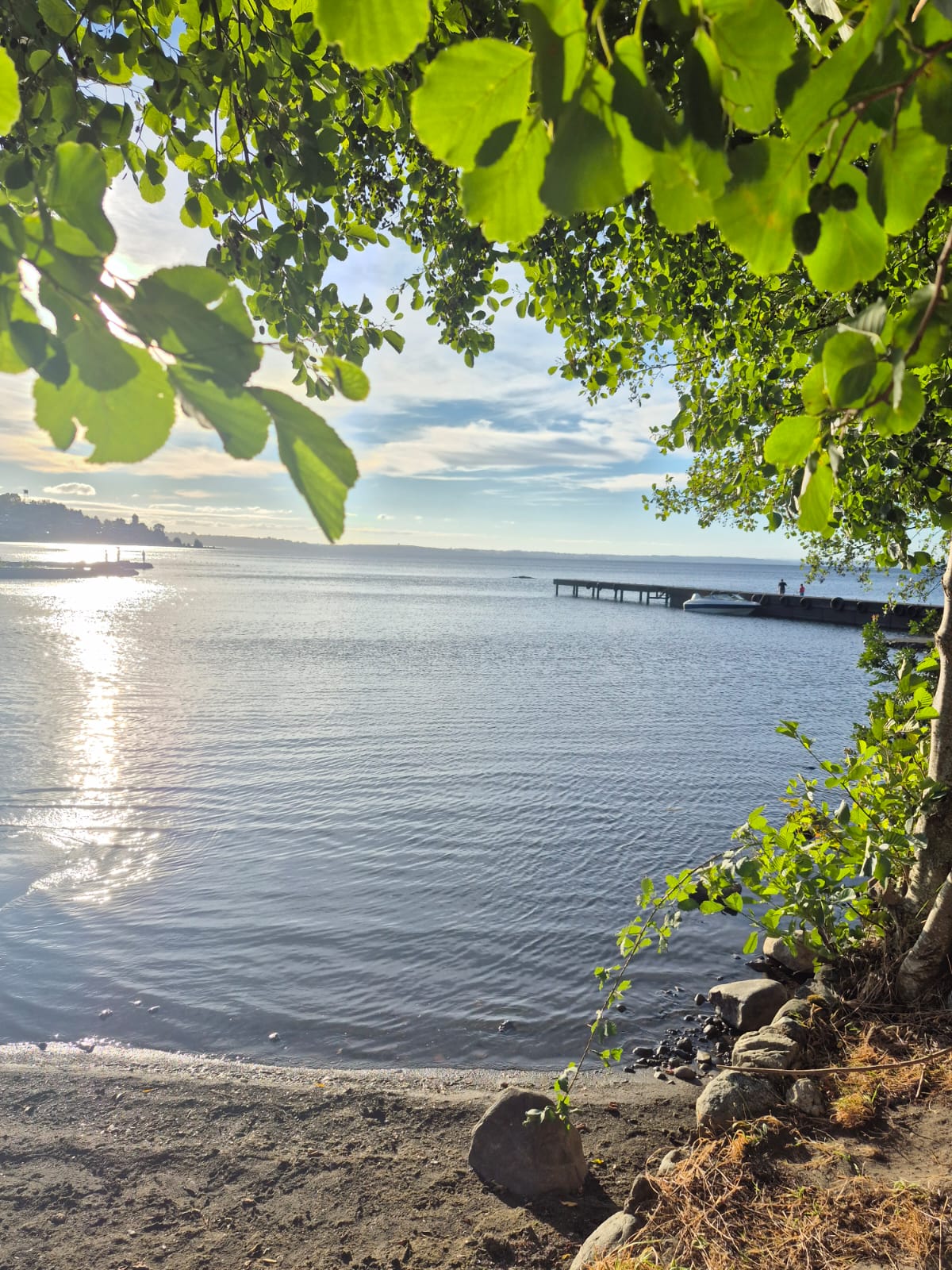 VENTA PARCELACIÓN EL COPIHUE PLAYA NITKLITSCHEK