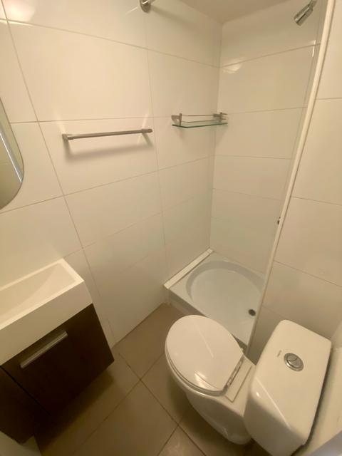 Arriendo AMOBLADO Departamento 2D 2B - Providencia