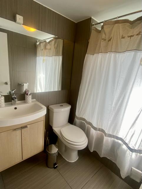 Arriendo AMOBLADO Departamento 2D 2B - Providencia