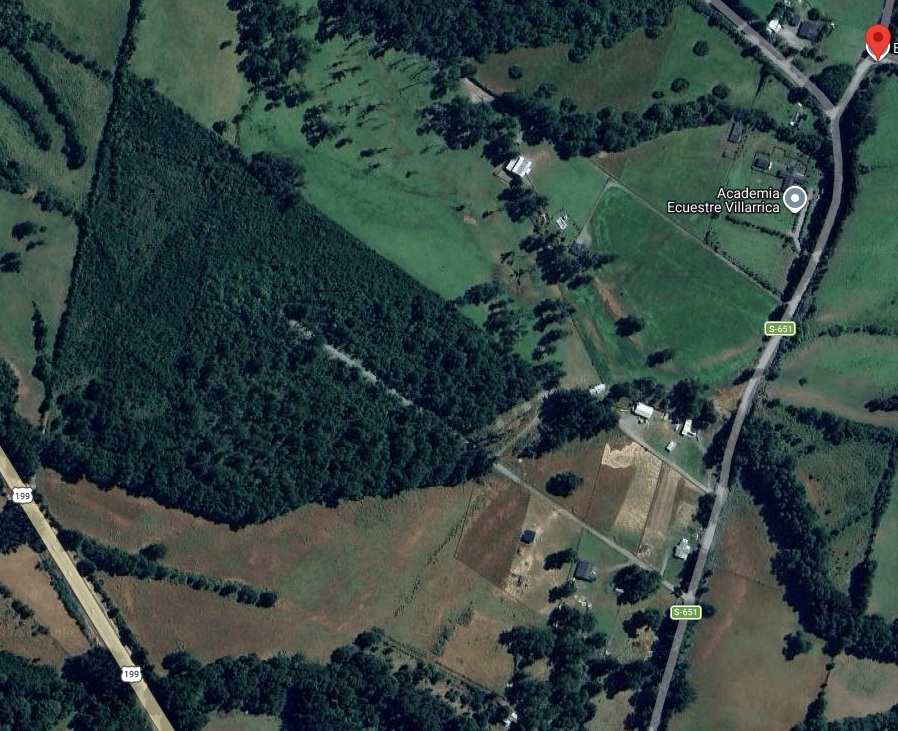 Venta de campo sector El Sauce - Villarrica 39 hec