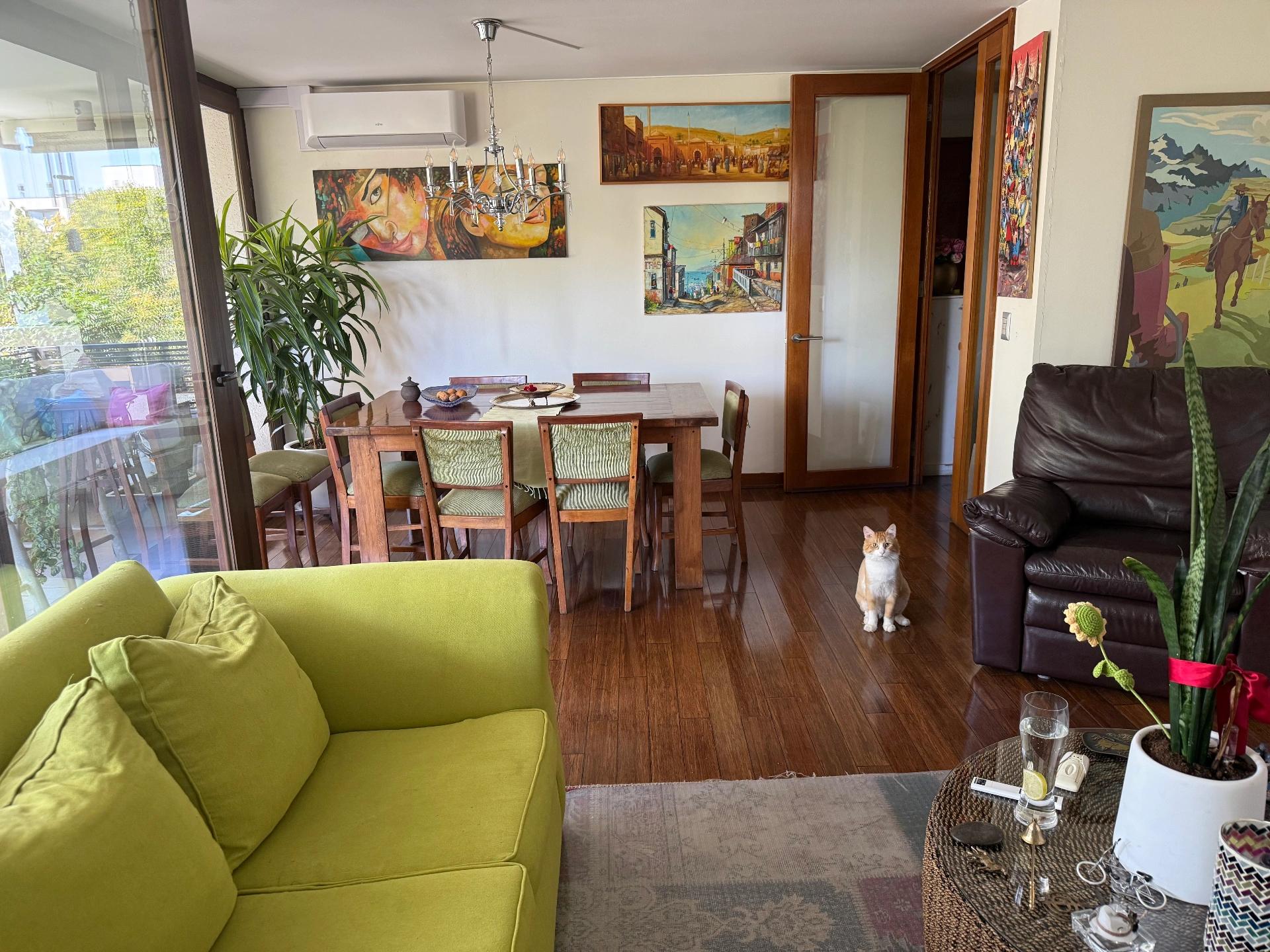 Venta Usado Departamento 3D 3B - Providencia