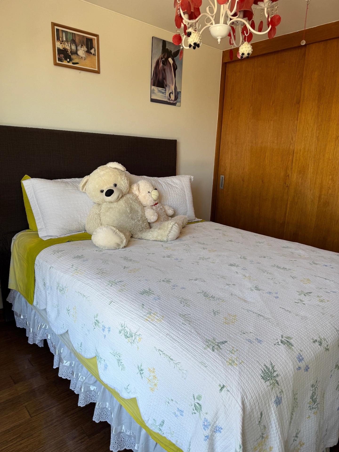 Venta Usado Departamento 3D 3B - Providencia