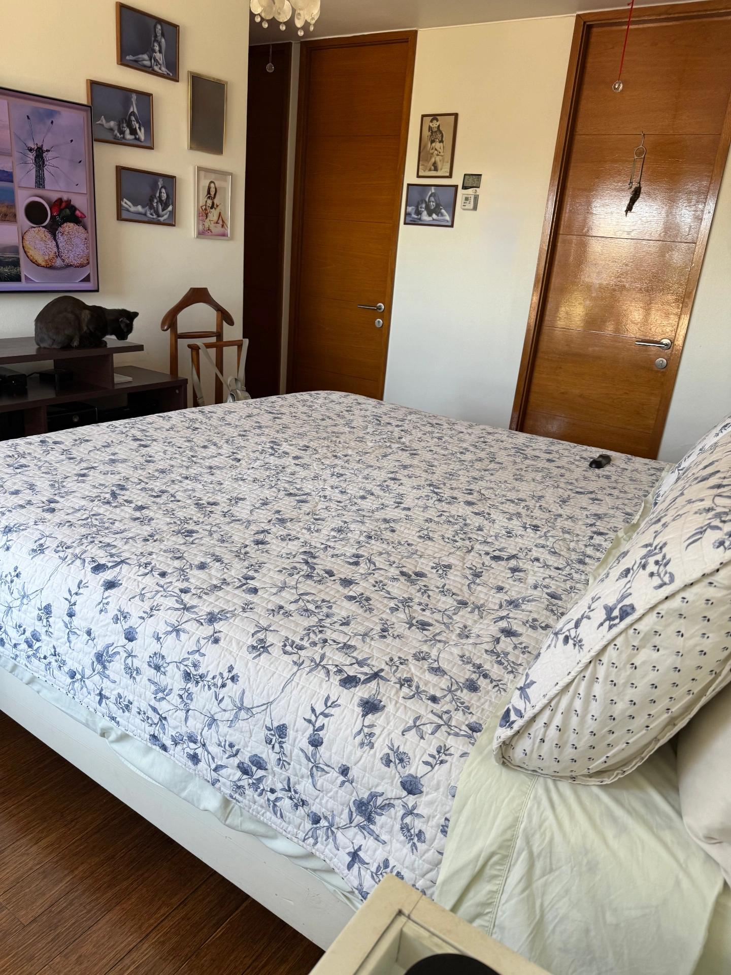 Venta Usado Departamento 3D 3B - Providencia