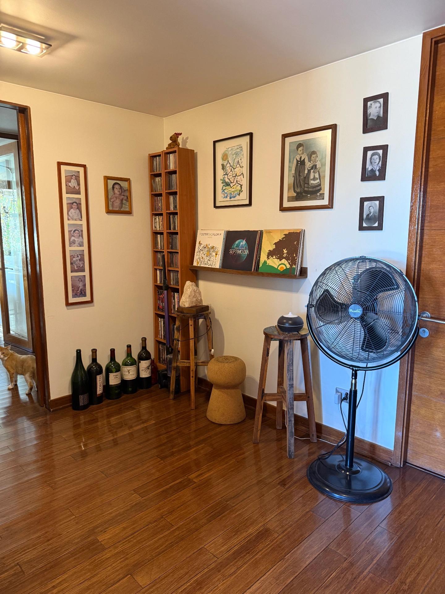 Venta Usado Departamento 3D 3B - Providencia