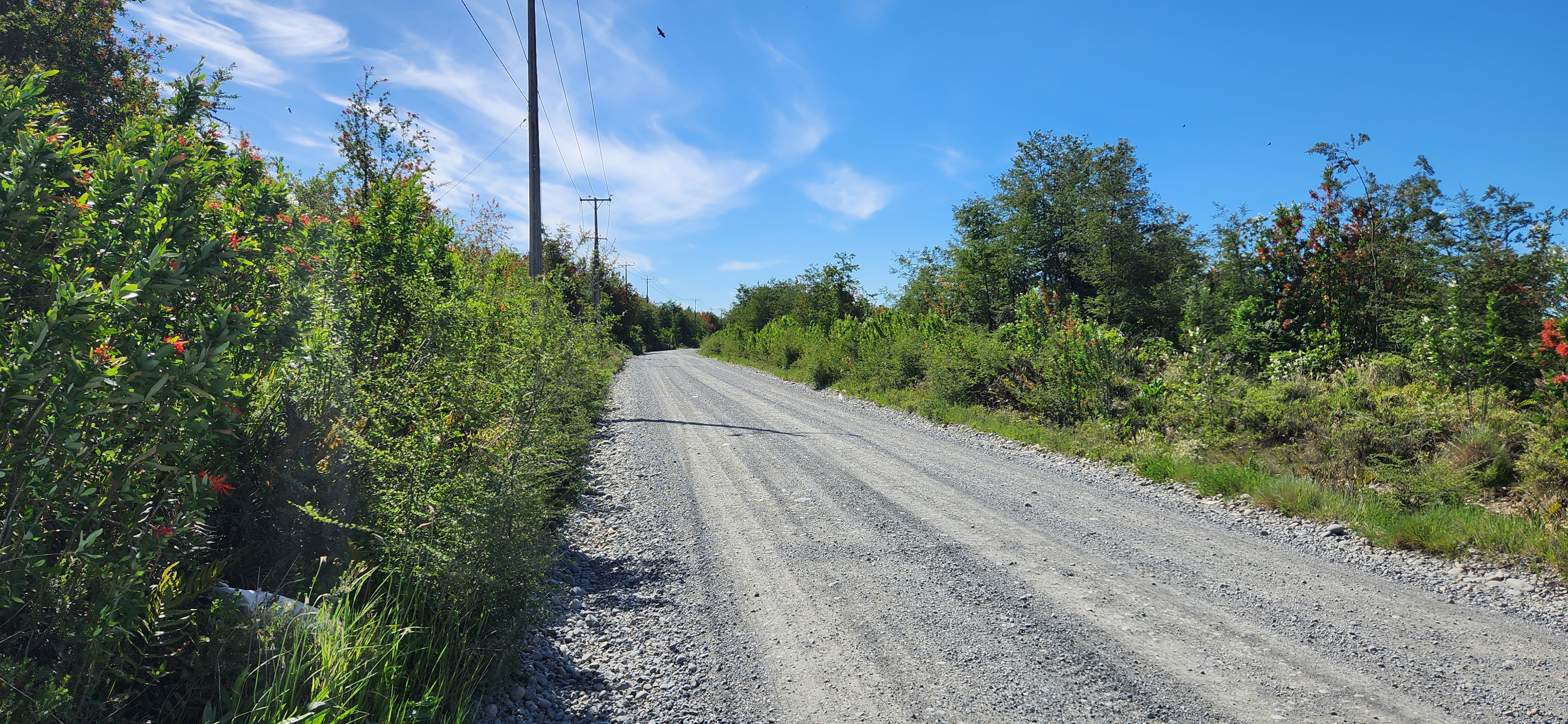 Vendo Cabaña y Terreno Orilla Carretera Altura Ca