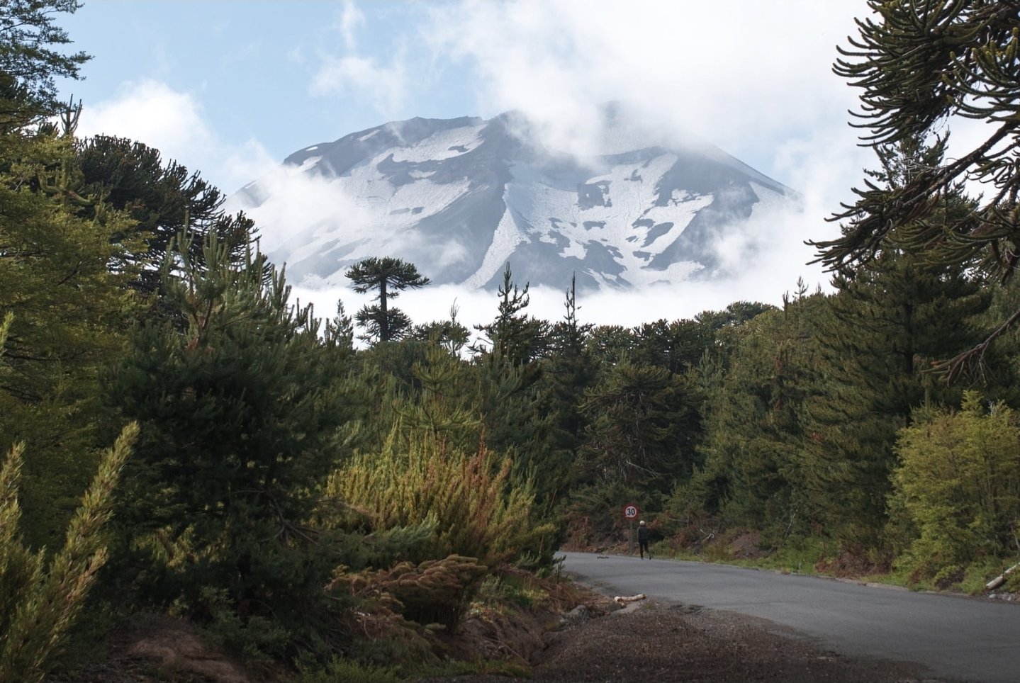 Vende parcelas de 5 mil mt2, con rol, en proyecto Refugio Lonquimay. Crédito di