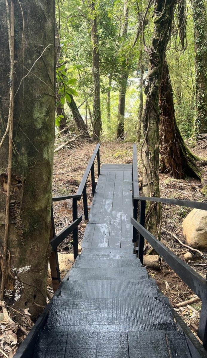 Vende parcelas en proyecto Reserva Cautín, cerca de Curacautín. Desde 5.000 mt