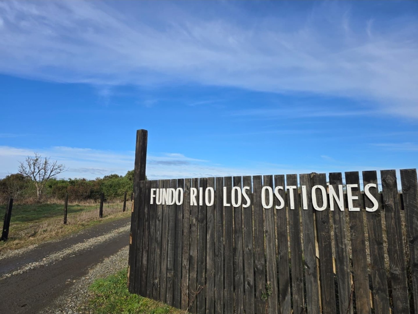 Vende parcelas con rol propio, desde 5.000 mt2, en proyecto Fundo Río Los Ostio