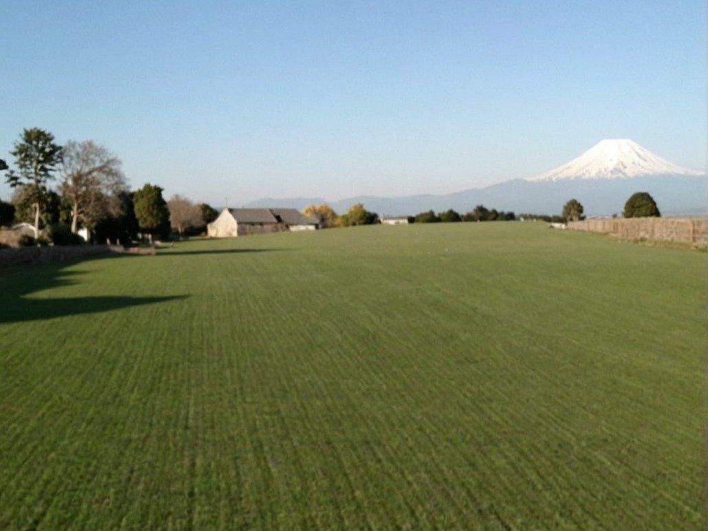 Vende parcelas en proyecto Fundo La Punta de Puerto Octay. Unidades desde 5.000