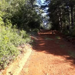 TERRENOS 1 HA CON LOMAJES Y BOSQUE NATIVO