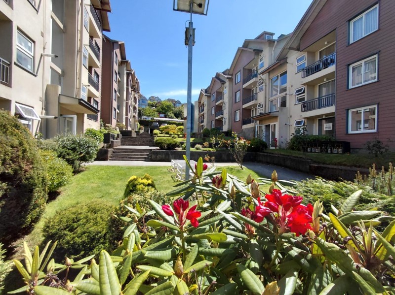 ENCANTADOR DEPARTAMENTO EN HERMOSO SECTOR