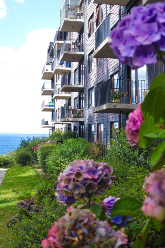 SENSACIONAL DEPARTAMENTO EN FRUTILLAR BAJO