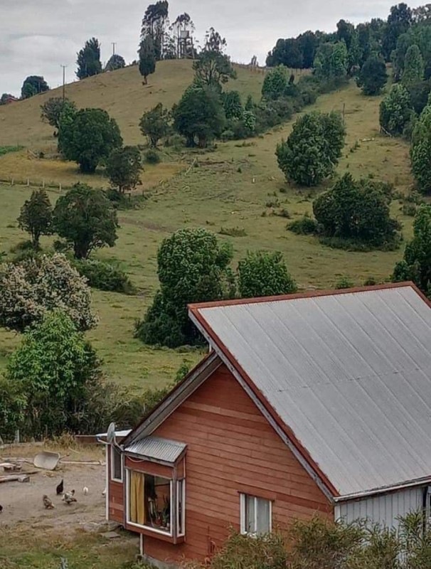 SE VENDEN 6 HECTÁREAS CON CASA CONSTRUÍDA EN CHILO
