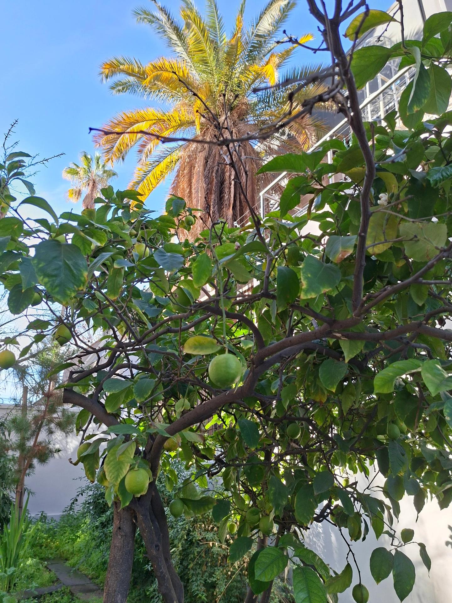 Venta Departamento 1PISO 2D 2B E B - Providencia