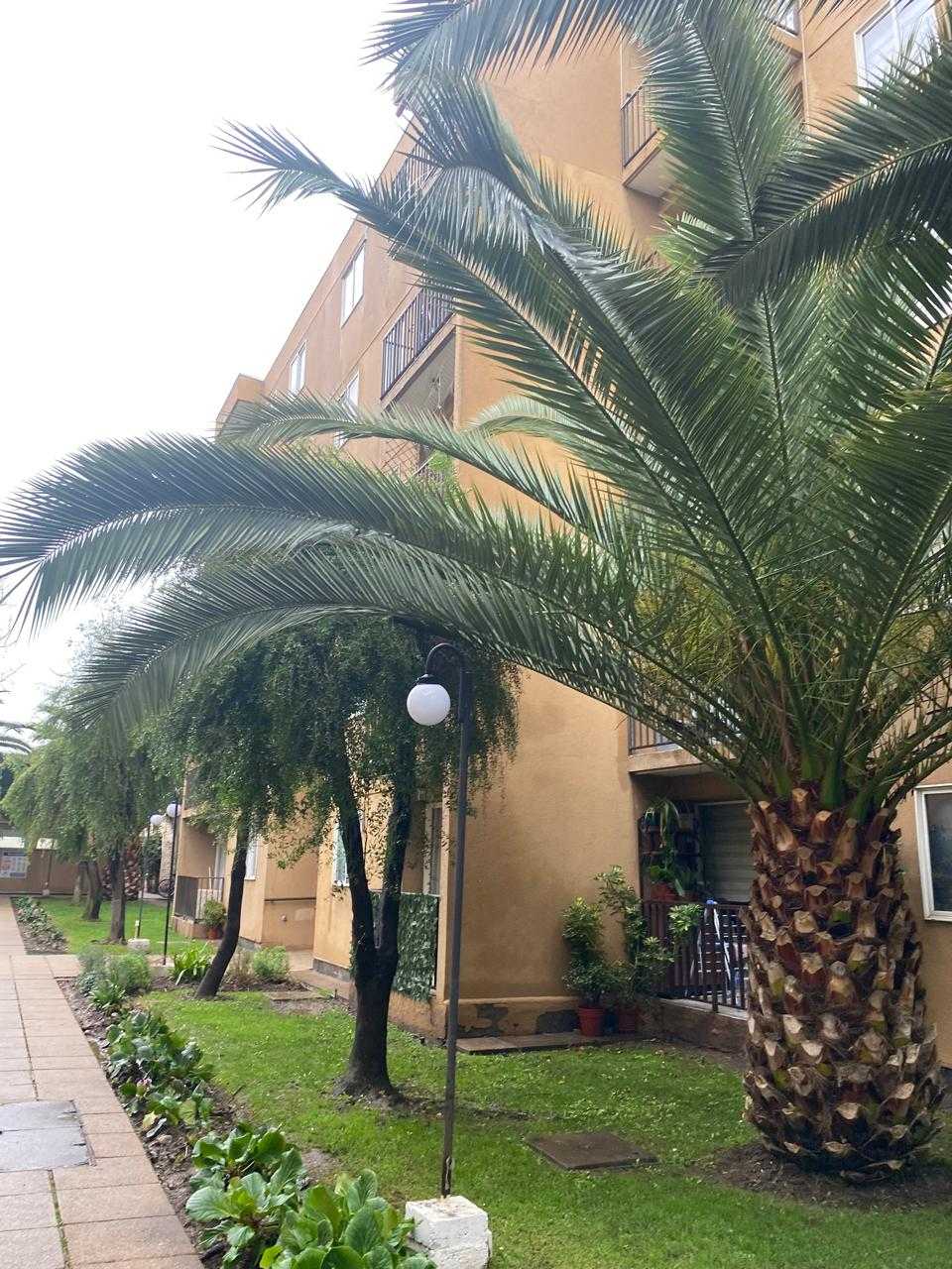 Vista publicada de la propiedad en San Joaquín