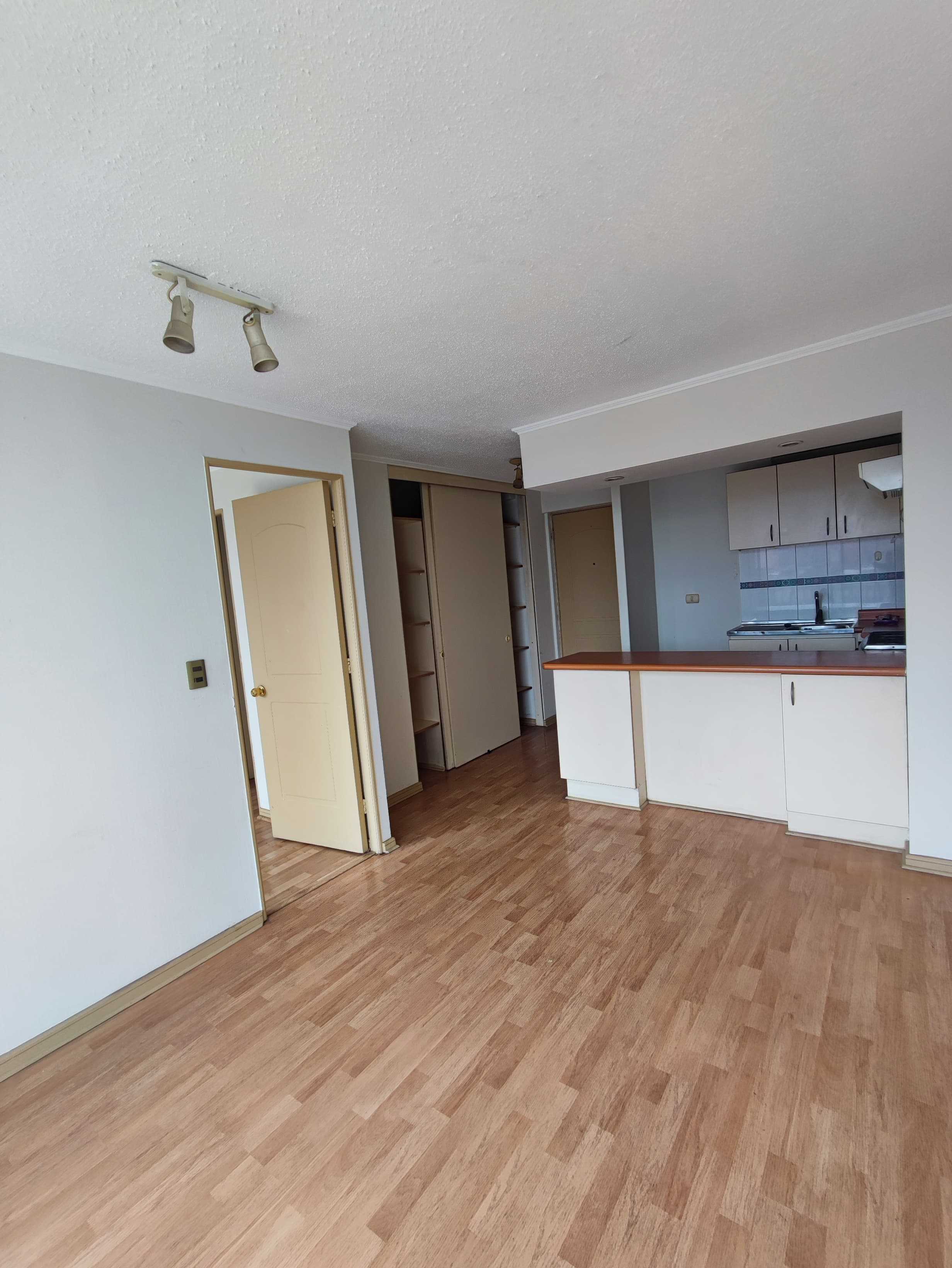 Vista publicada del arriendo en Santiago
