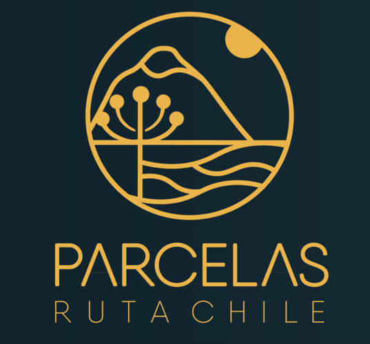 logo proyecto