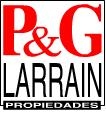 P&G Larrain